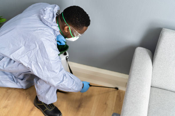 Emergency Pest Control Services in Aurora, MO